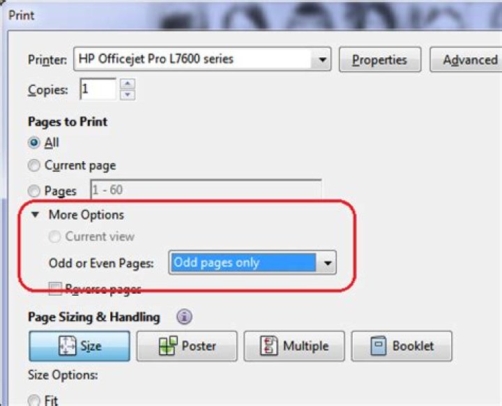 Acrobat Reader-how to print only the odd pages?