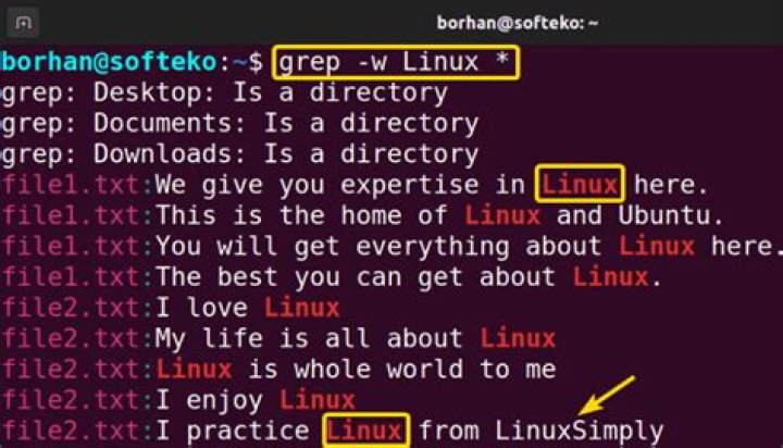 Advantages of cat'ing file and piping to grep
