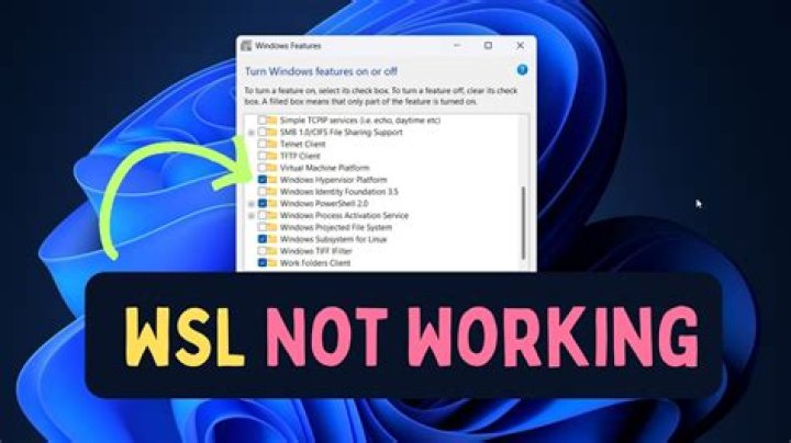 apt-get install is not working in WSL