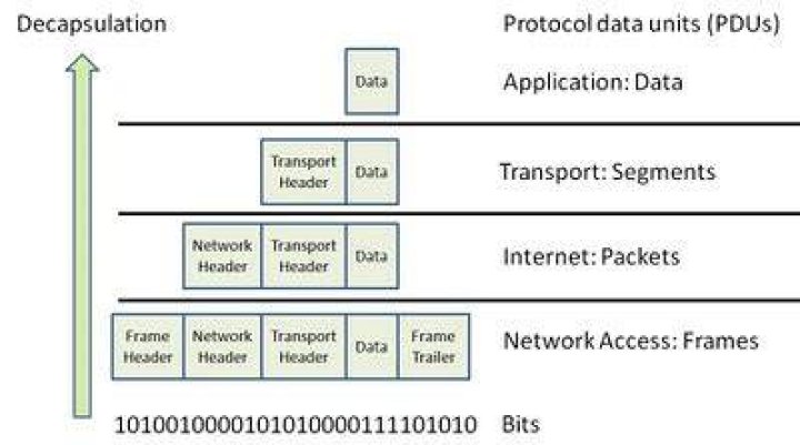 Are Segments, Packets and Frames the same size if we ignore headers?