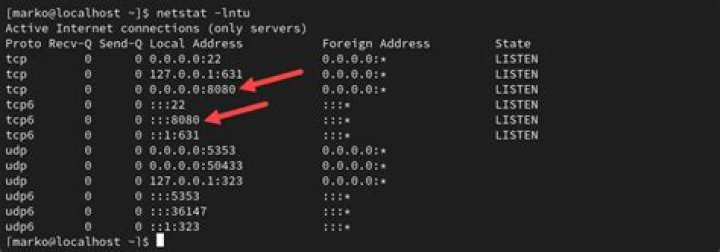 Attempting to identify what is using port 1720 on network