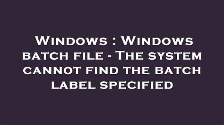 Batch, The system cannot find the batch label specified