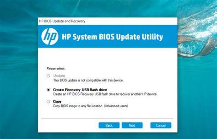 BIOS update is blocked on this device