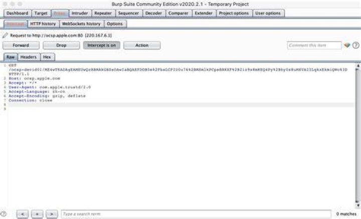 Burp Suite can not intercept the wget and curl HTTP request