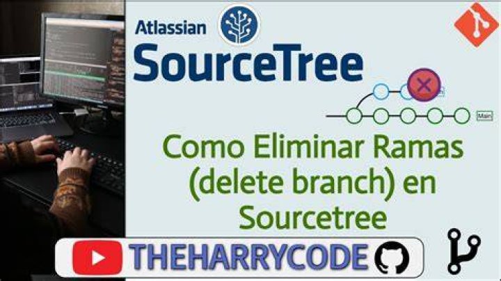 Can't delete branch SourceTree