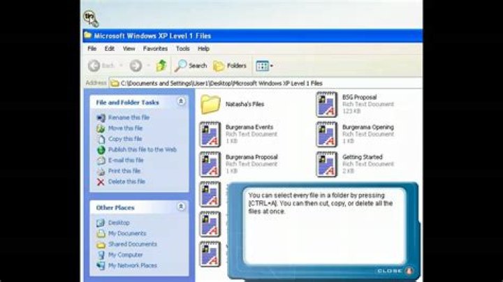 Can't delete files in XP