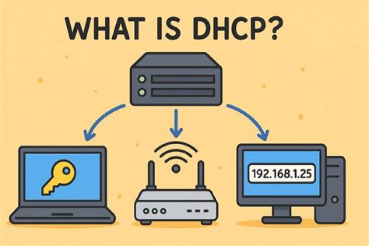 Can't get dhcp ip in my virtual machine on Virtual box