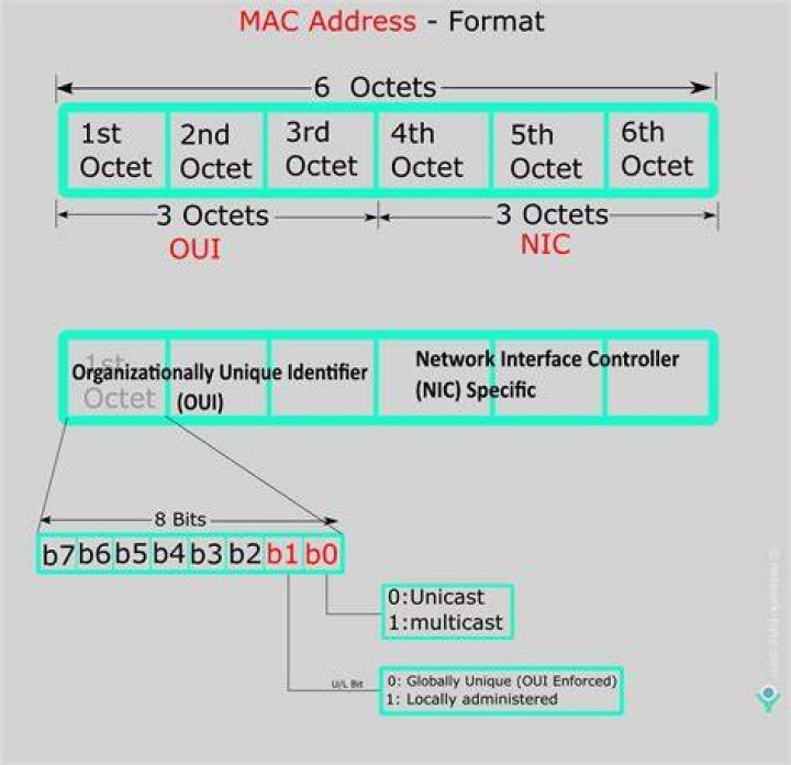 Can a website see/know my MAC address even if I use a VPN? [duplicate]