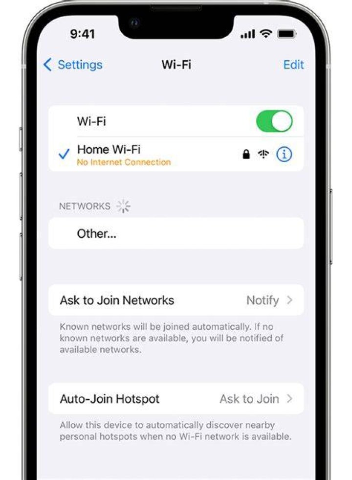 Can connect to Port-Forwarded IP on my WiFi, but not any other network