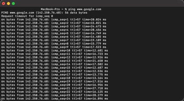Can ping router but can access network (another mac/mobile can ping router)