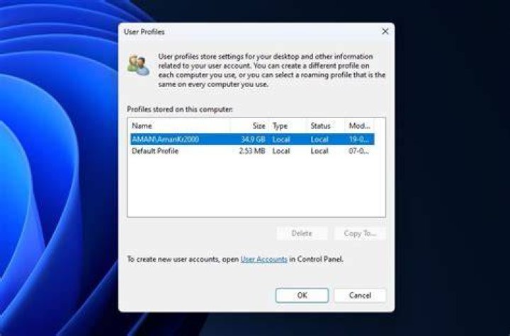 Cannot delete a user profile folder in windows explorer