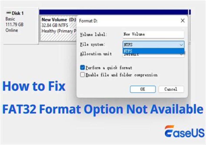 Cannot find an option to format in FAT32