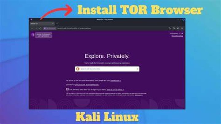 cannot install ToR service in kali