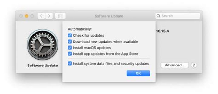 Catalina System Preferences shows update badge, but no updates are available