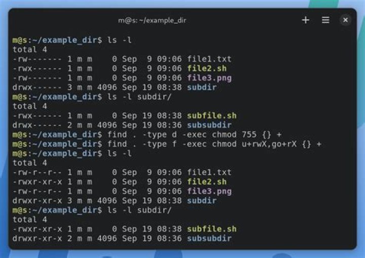 chmod 000 permission macOS