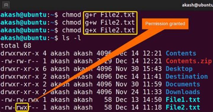 Chmod equivalence of +x and 0755