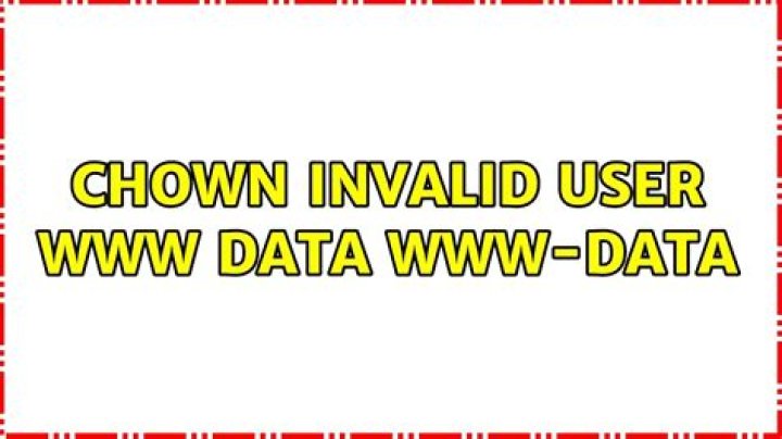 chown: invalid user: ‘www-data:www-data