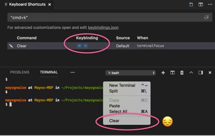 Clear terminal using keyboard shortcut