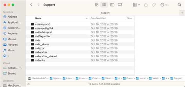 com.apple.mdworker.shared .... Service exited due to signal: Killed: 9 sent by mds[91]