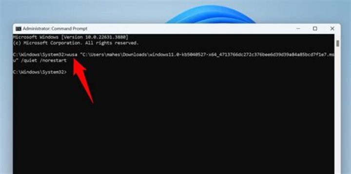 Command for "cmd" to update all the software in windows?