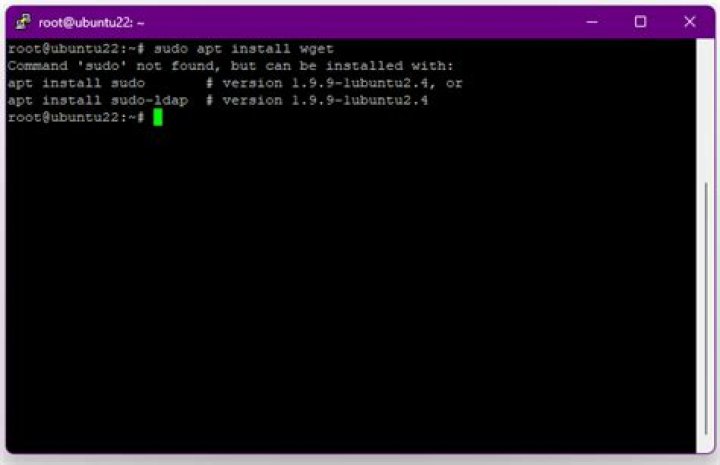 command not found when using sudo