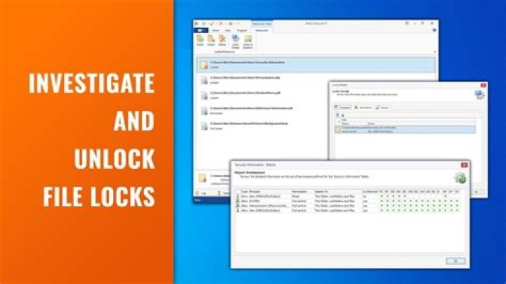 Command to unlock "Locked" files on OS X
