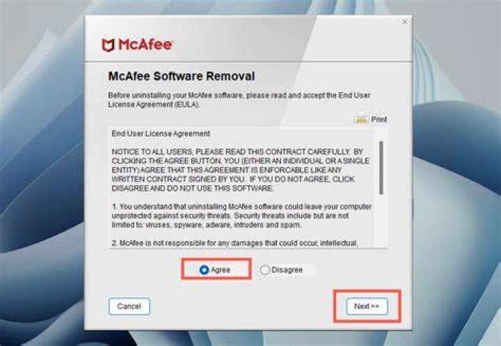 Completely remove McAfee Endpoint Encryption using command prompt