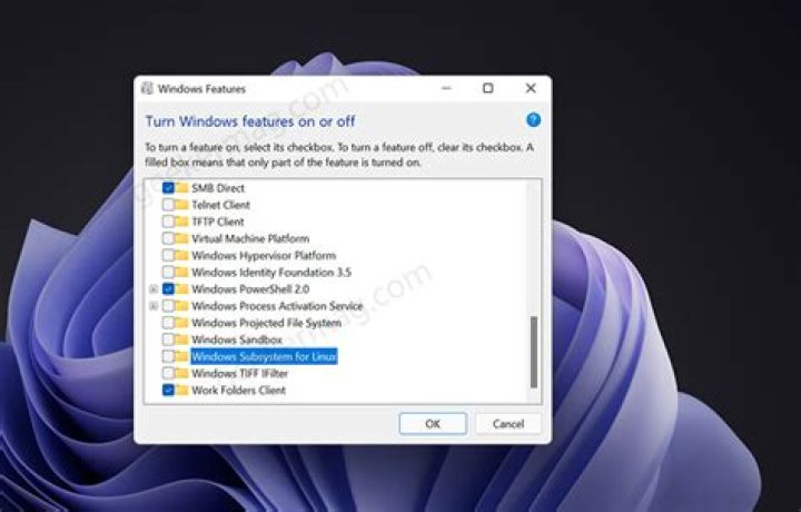 Completely uninstall the subsystem for Linux on Win10?