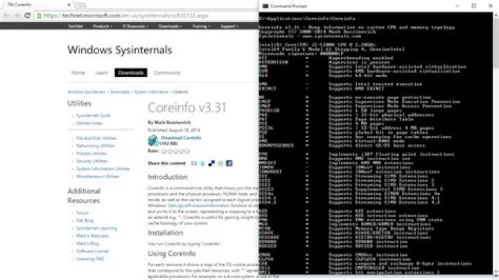 coreinfo output