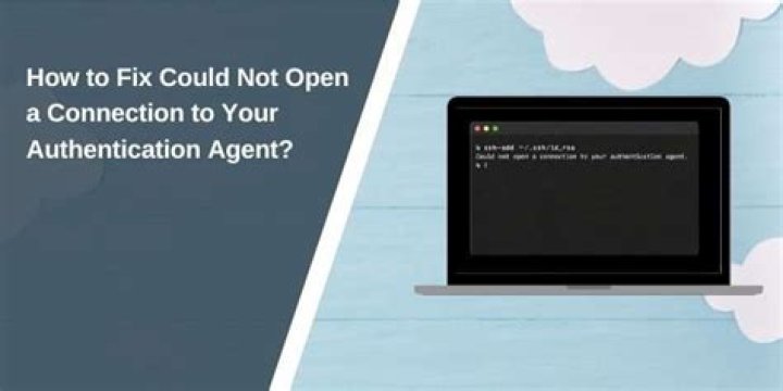 Could not open a connection to your authentication agent. Agent is running, has keys, and is forwarded