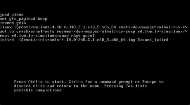 Disallow changing boot option and bash-like command line in grub