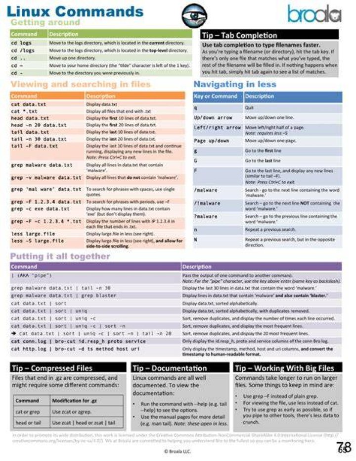 Does the order of command options in linux matter?