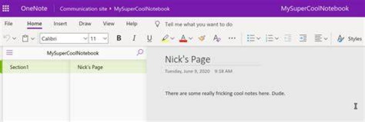 Downloading a local copy of One Note from Office 365 Online