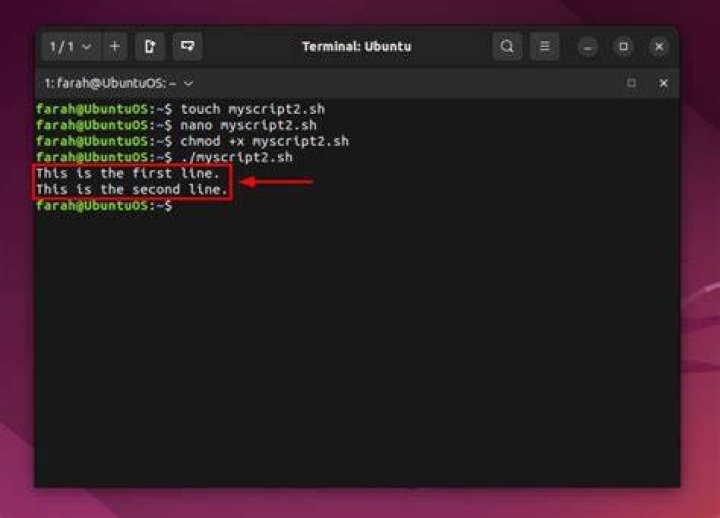 echo text with new line in bash