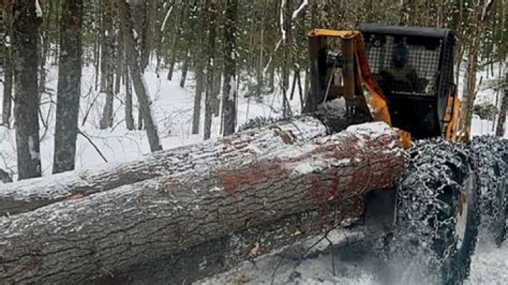 Enable sshd logging