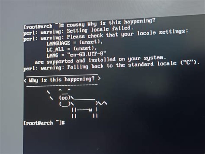 Error Number 5: Input/Output Error while installing Linux