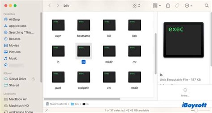Executable files in Mac OS X vs Windows