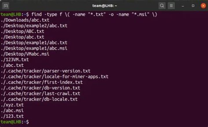Find multiple files in linux