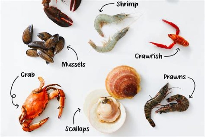 Fish Shell - can't find where "la" is defined as "ls -la"