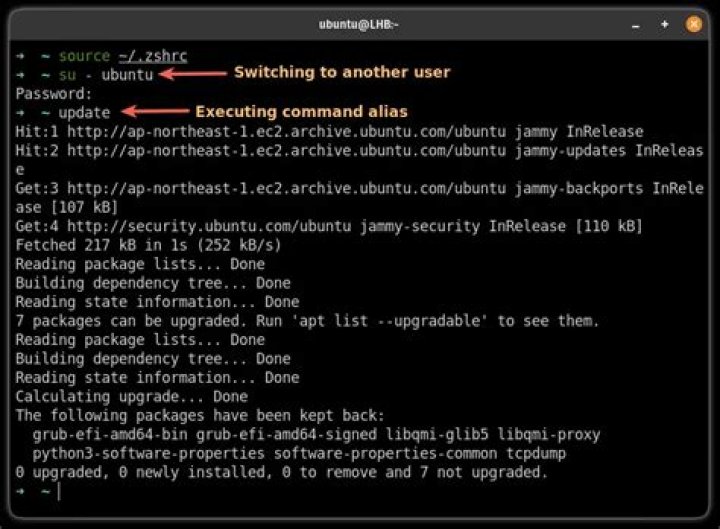 Global alias in zshrc file