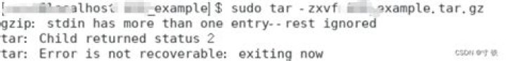 "gzip: stdin has more than one entry--rest ignored" and "gzip: tmp.gz has more than one entry -- unchanged"