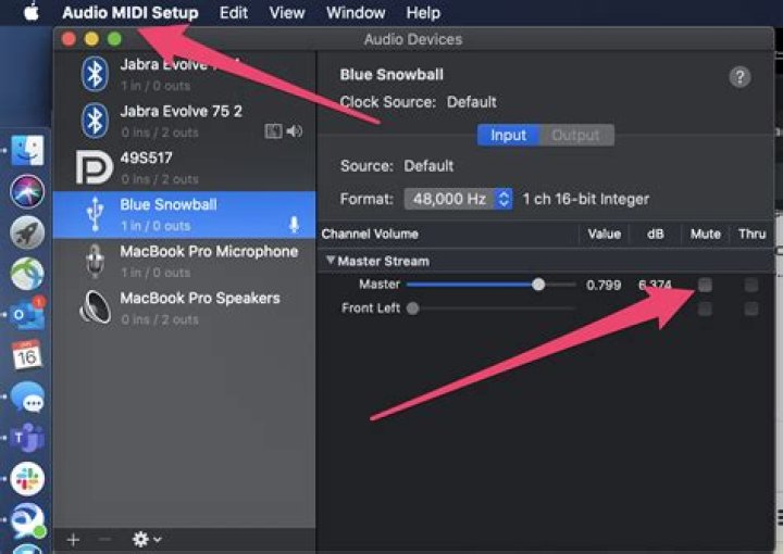 Hotkey to Mute Mic on Mac OS X?