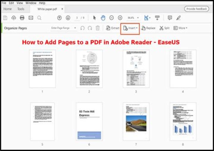 How can I add a margin to all pages of a PDF document?