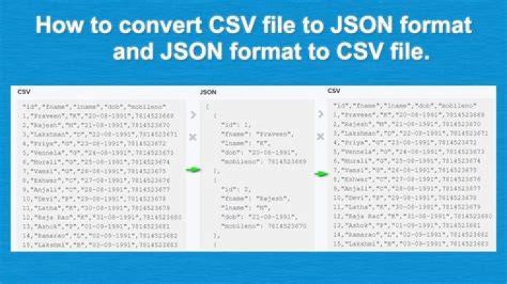 How can i convert a .bin file to a .json file [closed]