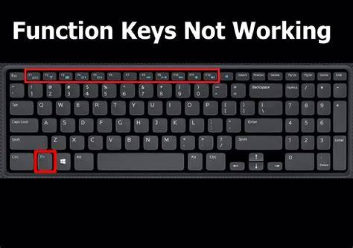 How can I make my laptop F-key's work as F-keys?