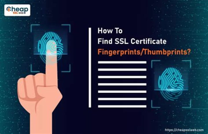 How can I pull the thumbprint out of a SSL certificate FILE (not the windows cert store)?