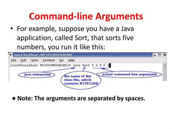How can I run an application with command line arguments in Mac OS