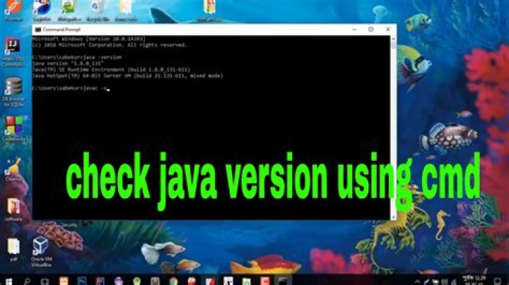 How do I check what version of Java I have installed?