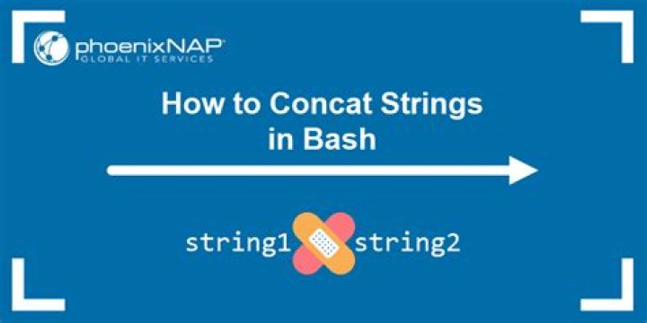 How do I concatenate strings in a bash script?