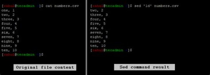 How do I delete a certain line from a file with Perl?